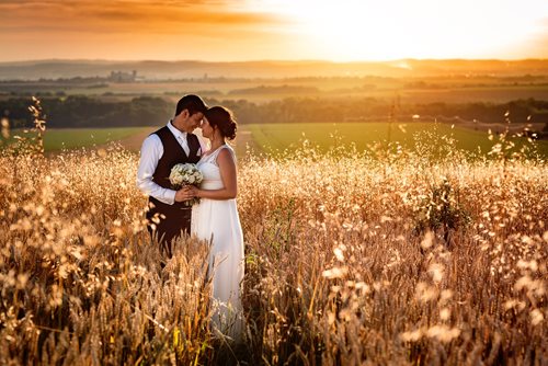 Svatební focení v obilí, Svatební fotky při západu slunce,